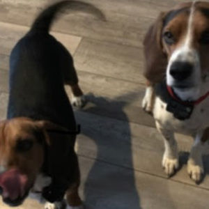 Meet your Posher, Kenna